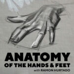 Ramon Hurtado: Anatomy of the Hands and Feet
