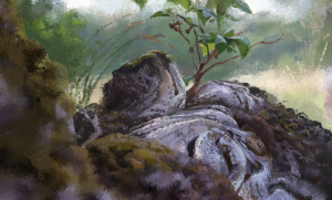 Cedric Wurm http://cedricwurm.com https://www.instagram.com/cedricwurm